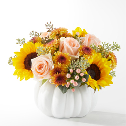 Pumpkin To Talk About from Flowers by Ramon of Lawton, OK